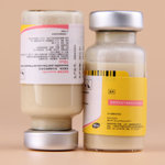 寵物藥品與食品銷售 市場現狀與未來趨勢