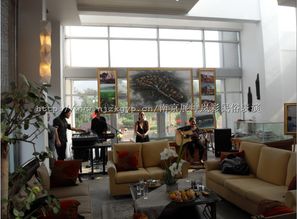 藝韻金陵 南京展坤嵐彩工藝品廠的文化傳承與商業創新